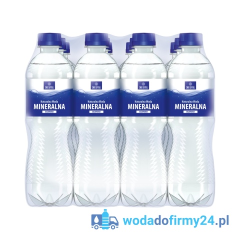 Naturalna Woda Mineralna Ustronianka 0,5L gazowana - Paleta