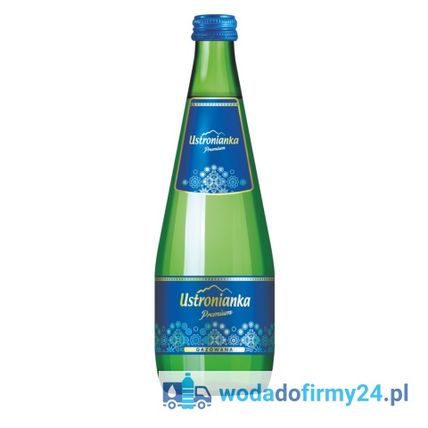 Paleta Wody Ustronianka Premium 700 ml Gazowana